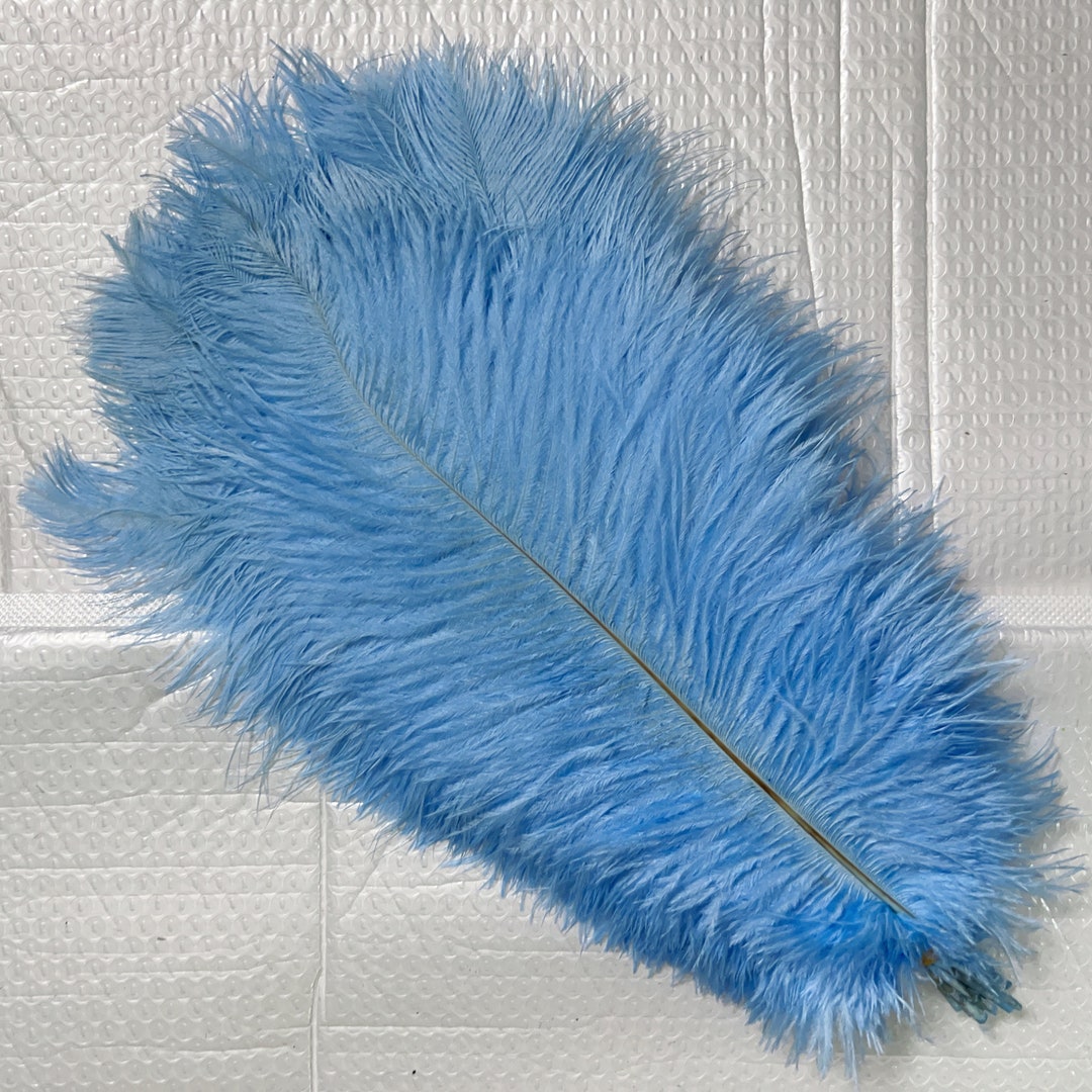 100 Pcs Mist Blue Ostrich Feather for Crafts Wedding Decoration Natural ...