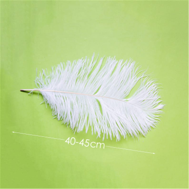 Romantic White Ostrich Feathers 10pcs Wedding Decoration Handmade diy Craft Feather 6-32 Optional image 7