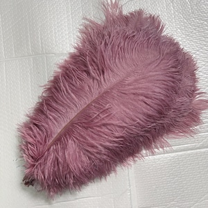 100 Pcs bean paste purple  Ostrich Feather for Crafts Wedding Decoration Natural Feather Table Centerpieces Party diy Accessories Carnival