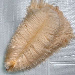 1/2 Lb. - 19-24 Champagne Ostrich Extra Long Drab Wholesale Feathers (Bulk)