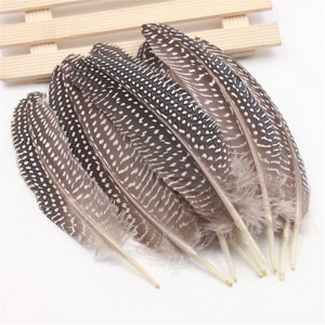 May include: A bunch of brown and white speckled feathers. The feathers are long and narrow with a white tip.