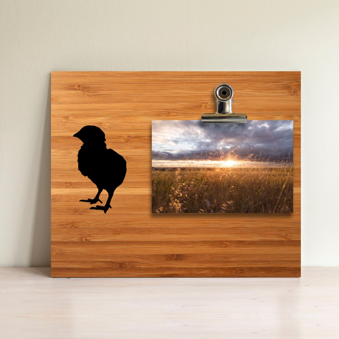 Frame Baby Chick Bird Photo Frame Picture Frames Gift Item - Etsy
