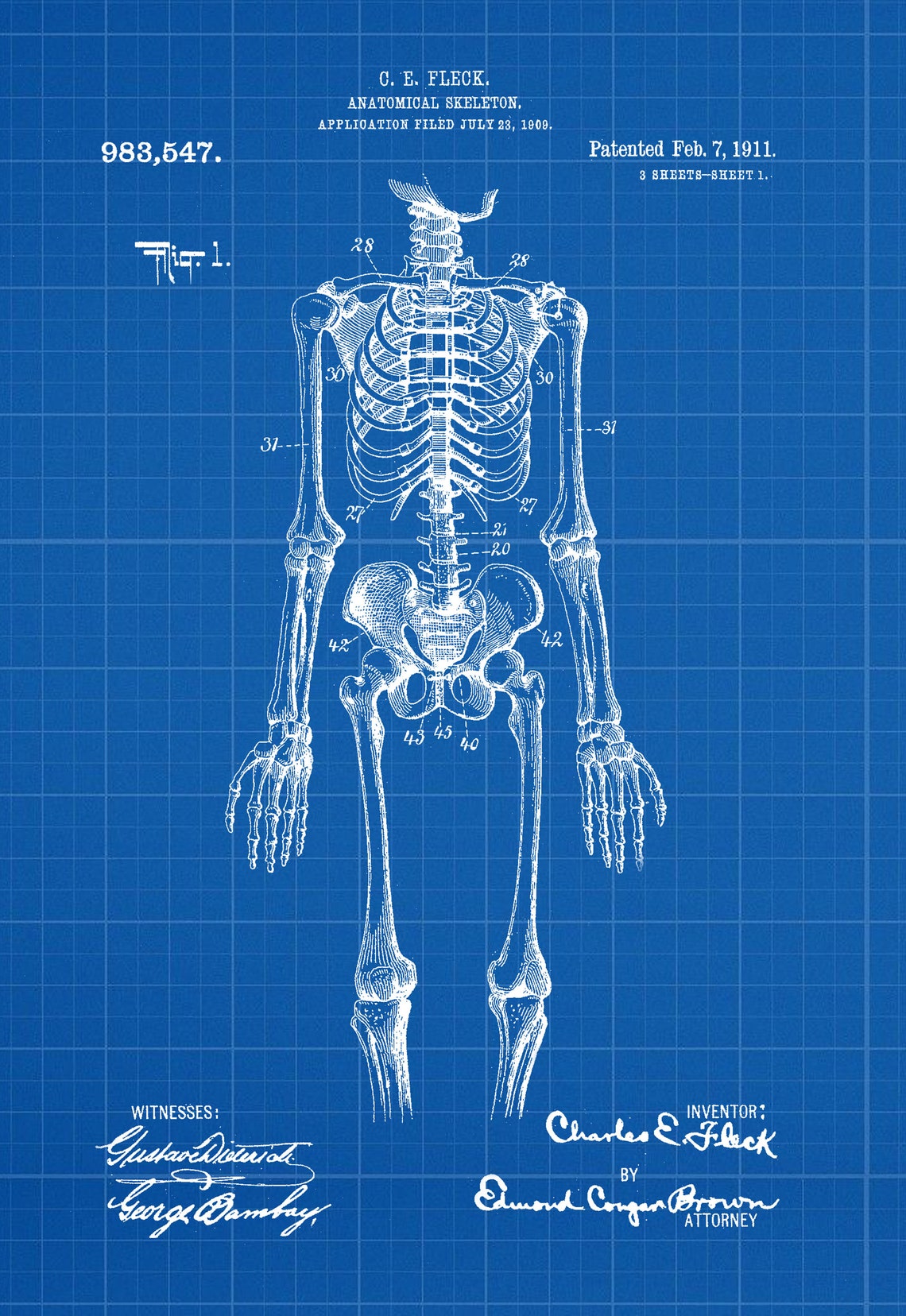 Anatomical Skeleton Print Files Instant Digital Download Etsy