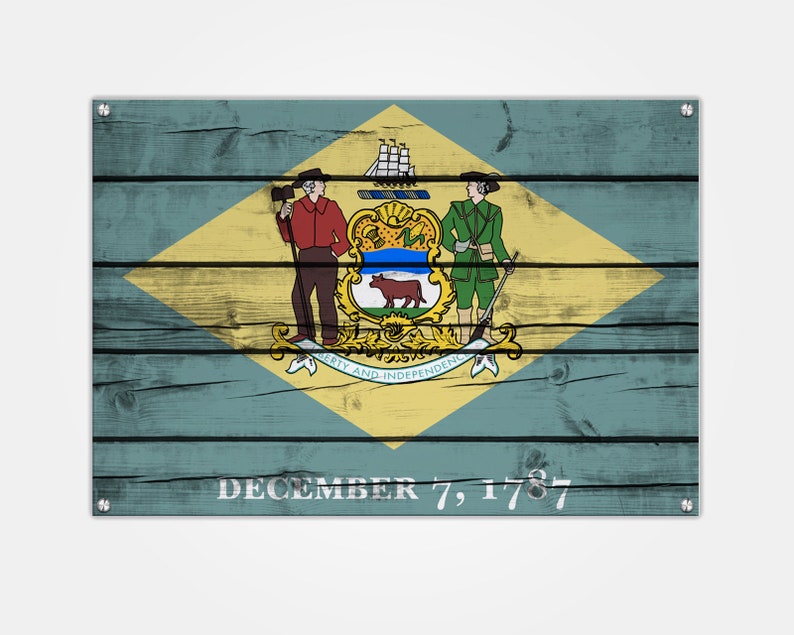 Delaware Wood Print Newark Dover Printed on 12 Wood Gallery Mounts State Flag Wilmington Pop Art Milford Wall Decor