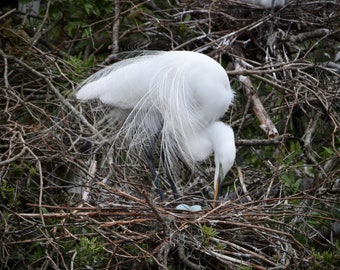 Etsy :: Your place to buy and sell all things handmade