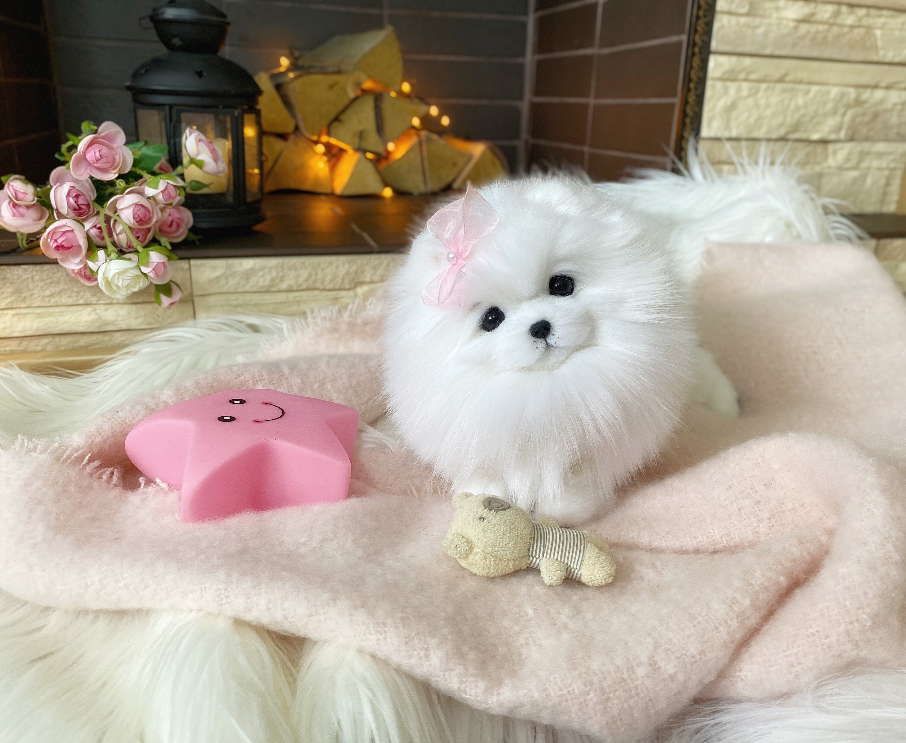 stuffed pomeranian