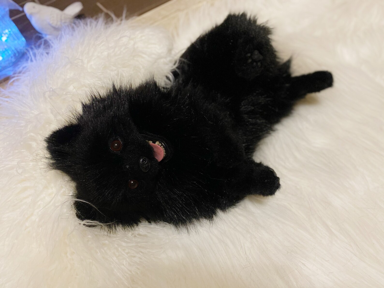 Real size stuffed black Pomeranian dog custom pet portraits Etsy