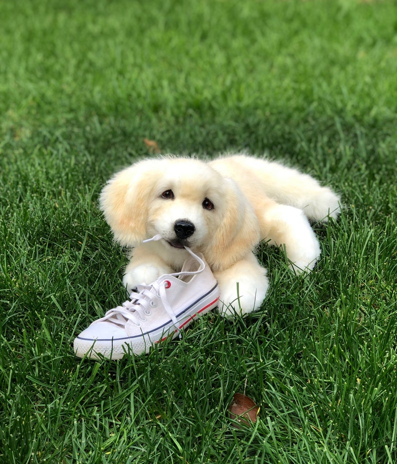 Golden retriever custom portrait realistic stuffed animals | Etsy