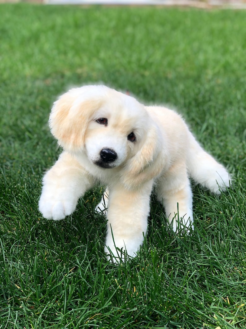 Golden retriever custom portrait realistic stuffed animals | Etsy