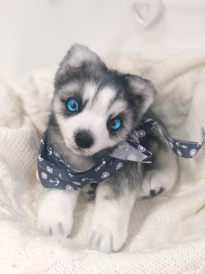 Juguete Husky husky suave peluche husky husky realista Etsy