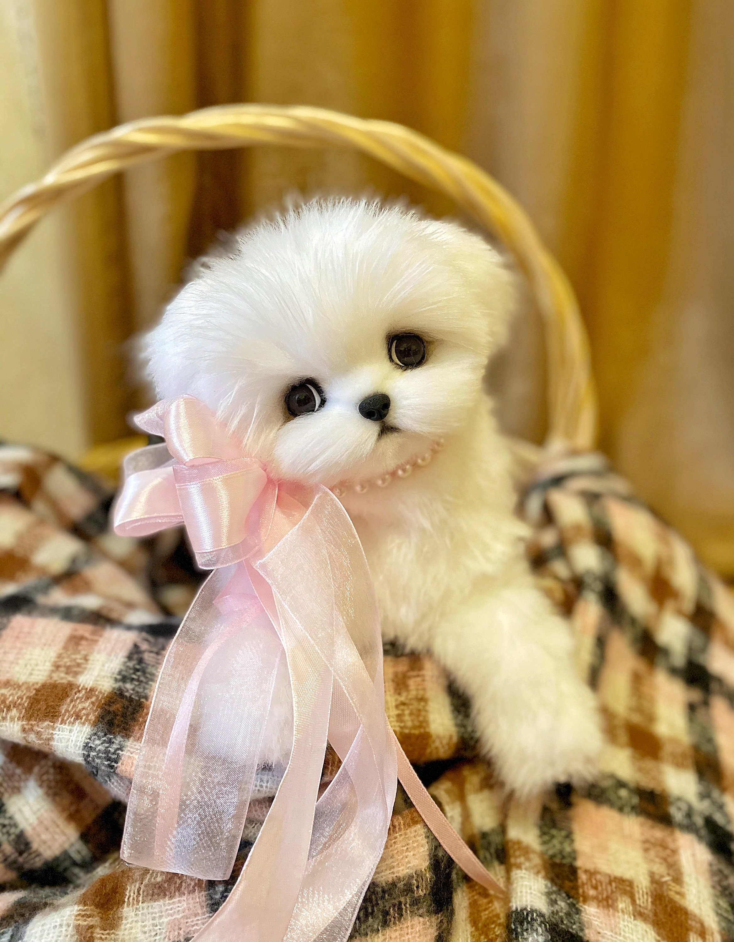 Tiffany Maltese Realistic plush puppy toy real size Etsy