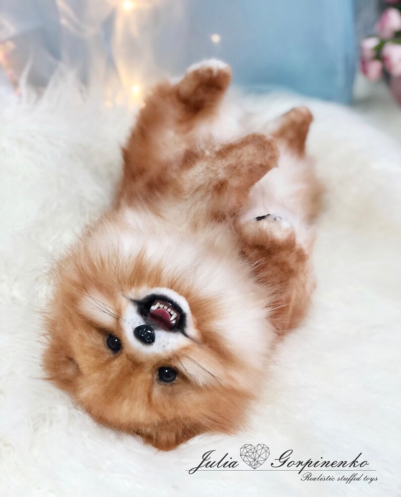 Pomeranian little spitz plush puppy dog realistic stuffed | Etsy