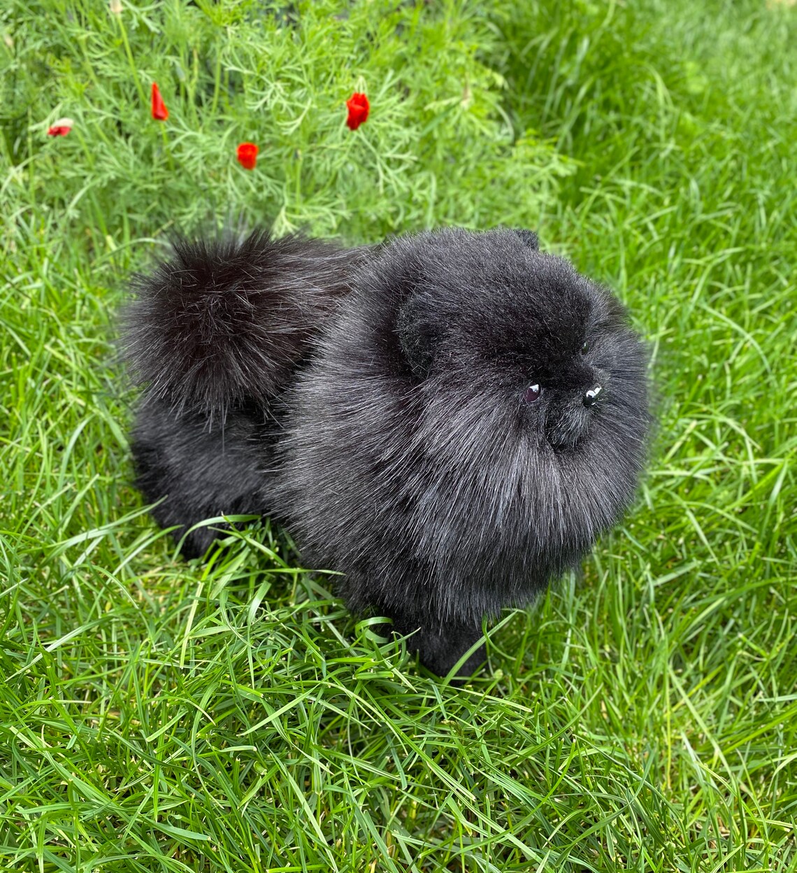 Spitz Pommern Spitz schwarz gefüllte Hund realistische Etsy