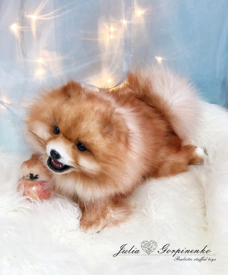 Pomeranian little spitz plush puppy dog realistic stuffed Etsy