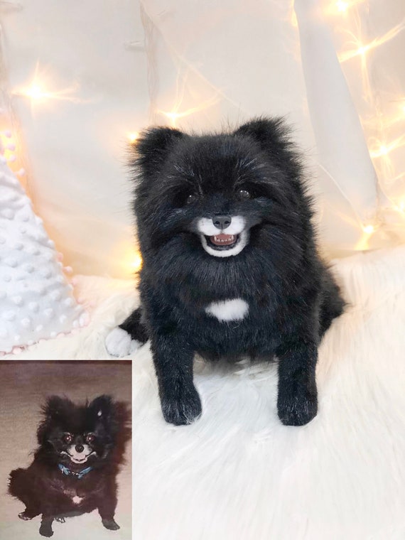 black pomeranian stuffed animal