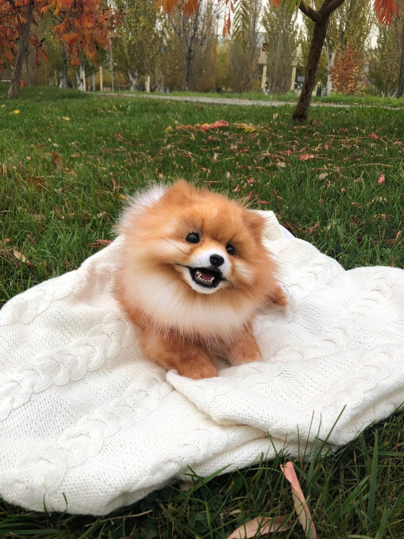 Pomeranian little spitz plush puppy dog realistic stuffed | Etsy