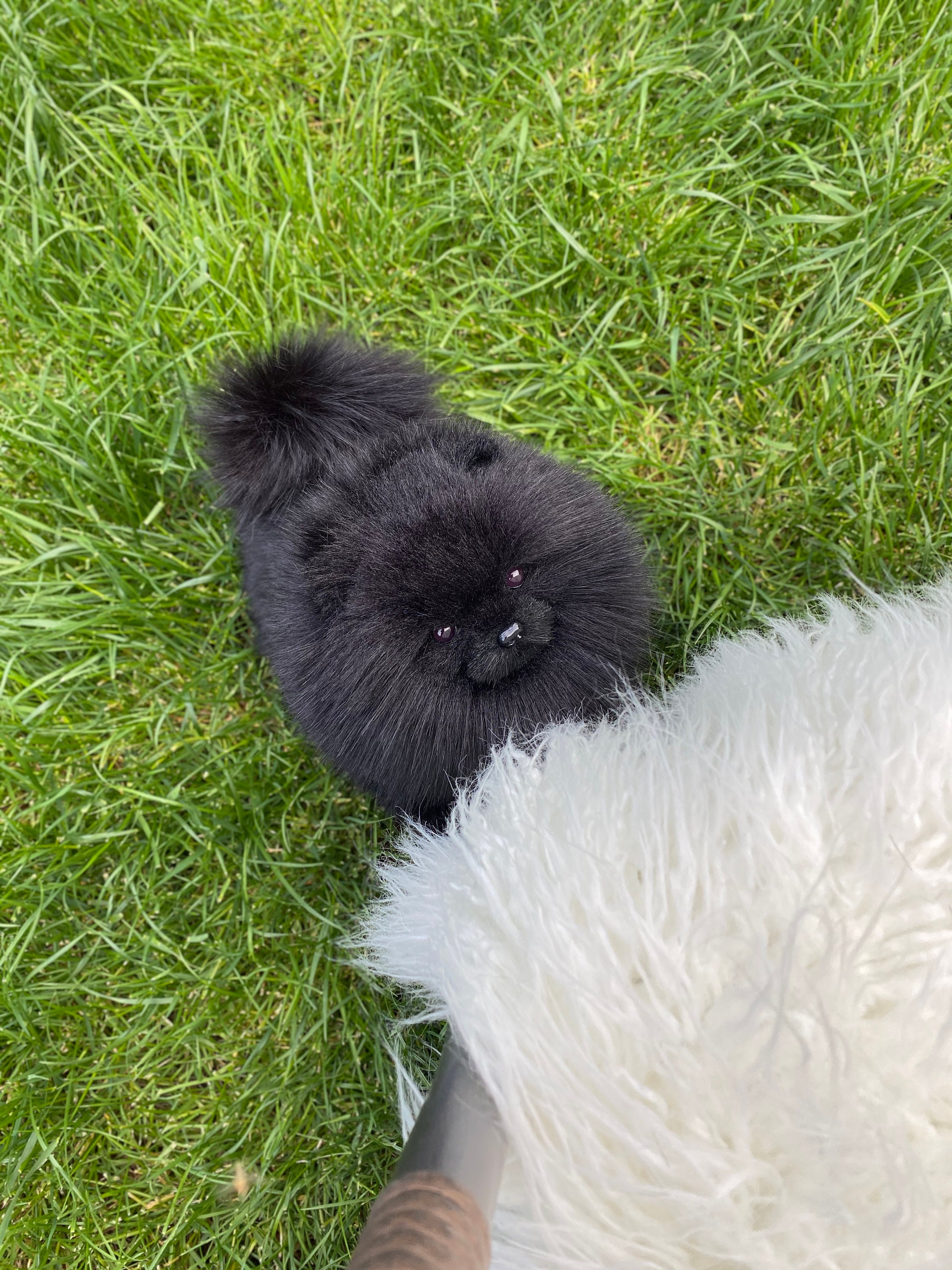 Spitz Pommern Spitz schwarz gefüllte Hund realistische Etsy