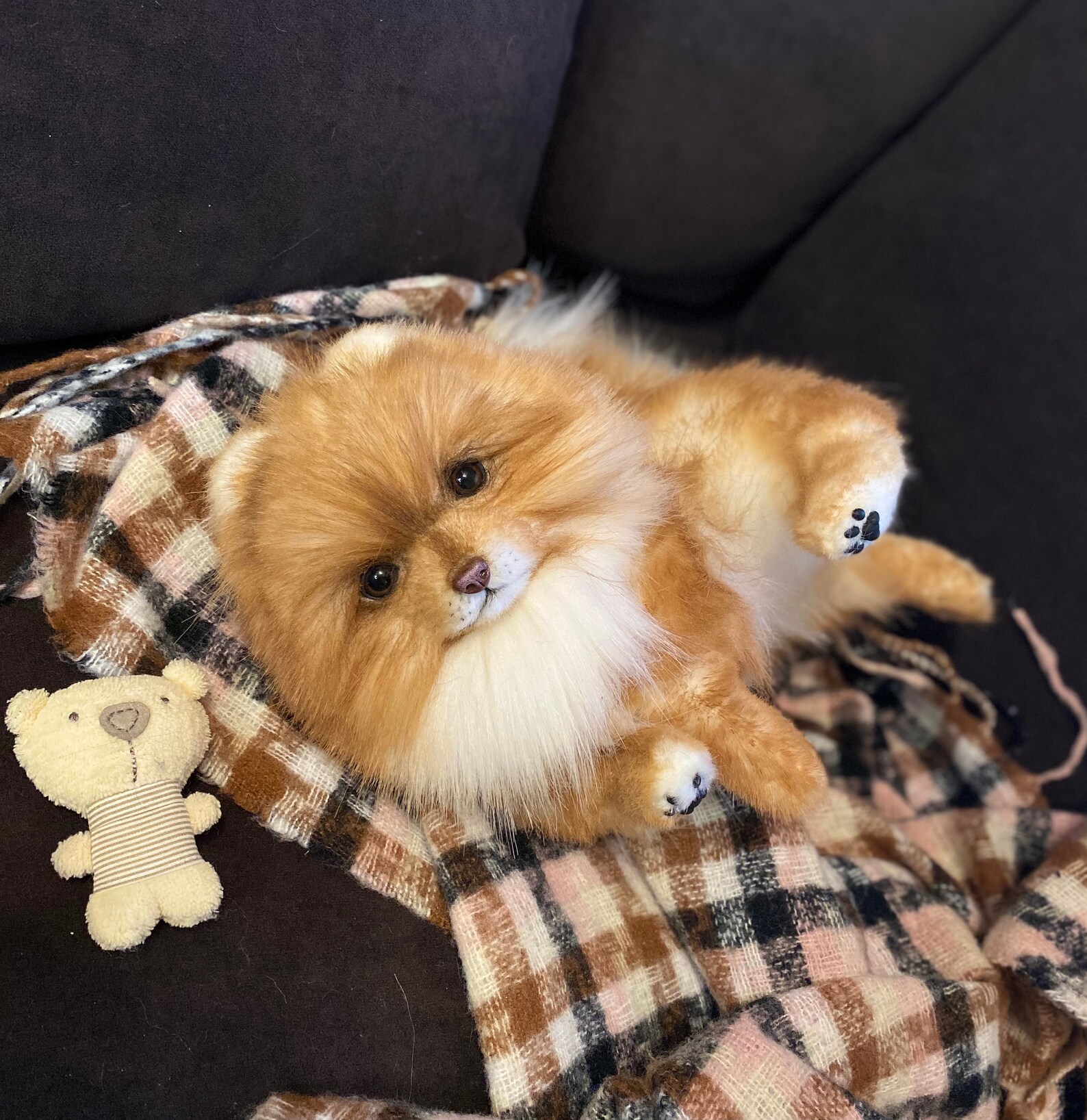 Puppy Pomeranian spitz dog realistic stuffed animals Artist | Etsy