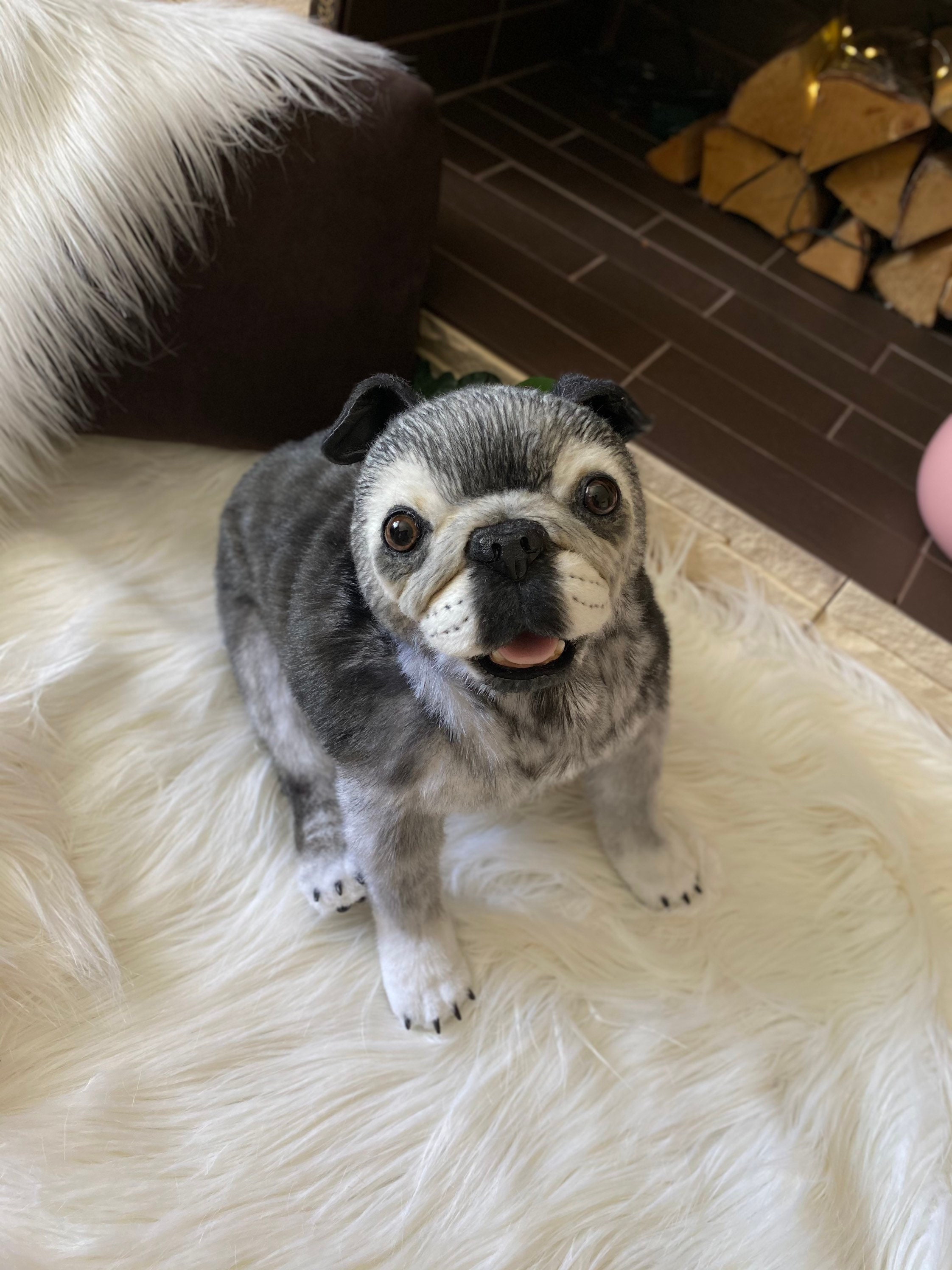 Life size dog clone custom order real stuffed plush toy dog Etsy