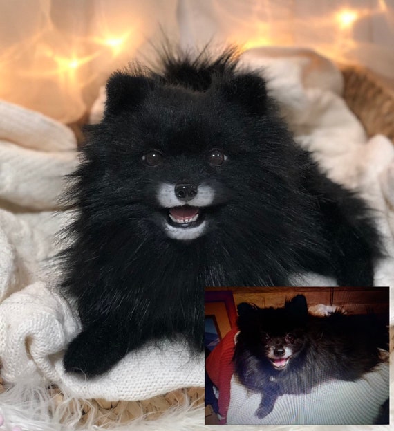 realistic pomeranian plush