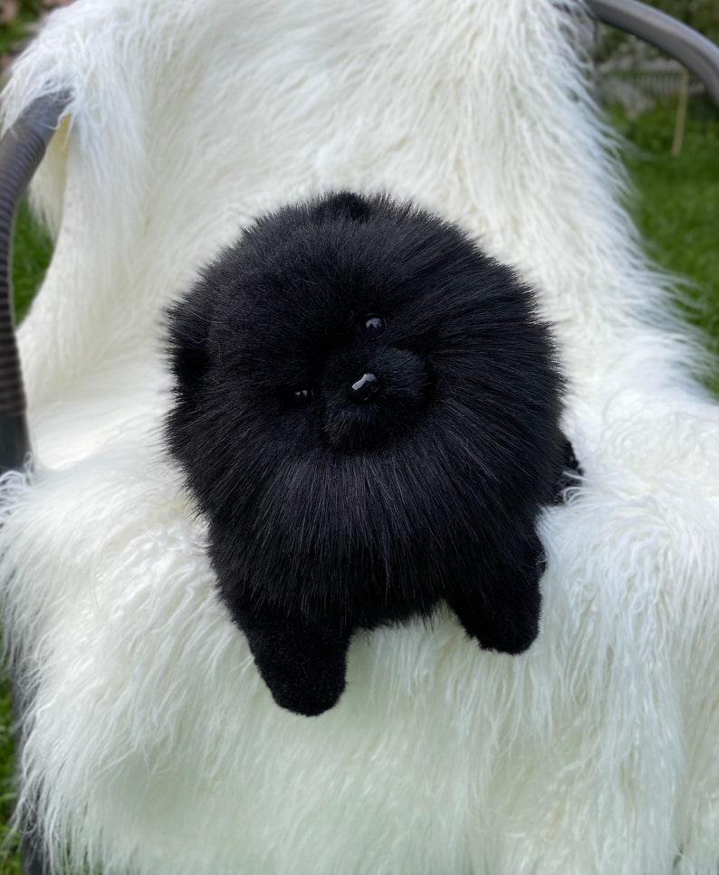 Spitz Pomeranian spitz black Stuffed dog realistic dog | Etsy