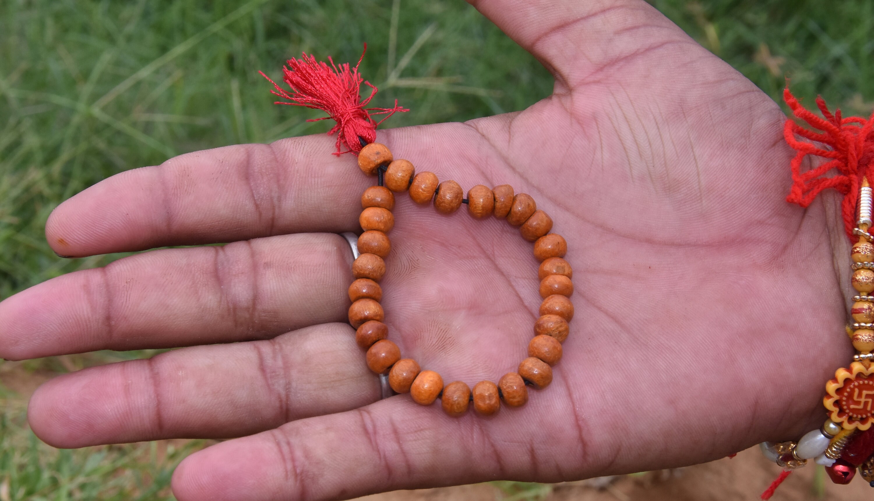 Semi Chikna Rudraksha, White tulsi & Red sandal beads bracelet - Rudraksha  Ratna - Rudra Centre