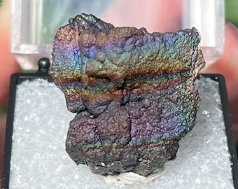 Turgite botrioidale arcobaleno iridescente di Graves Mtn, minerale in miniatura, esemplare da esposizione, cristallo di turgite, oltre a pietre tascabili GRATUITE!