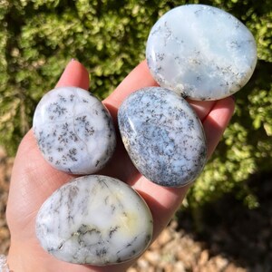 You Choose*Dendritic Agate Palmstones