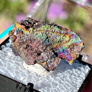 Puede incluir: Un pequeño espécimen mineral iridiscente con colores de arcoíris en una caja de exhibición negra con acolchado de espuma blanca.
