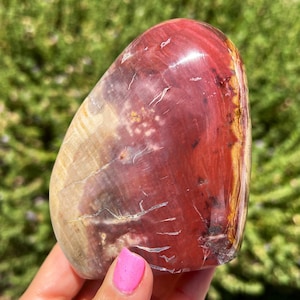 1.7lb Petrified Wood Freeform, Fossilized Wood, Crystallized Wood, Petrified Wood Crystal, Plus FREE Pocket Stones!