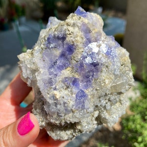 1.2lb Pyrite on Blue Fluorite Cluster