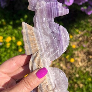 Purple Fluorite Seahorse Carving 1.2lb, Crystal Seahorse, Fluorite Carving, Fluorite Seahorse, Seahorse Carving, Seahorse Crystal