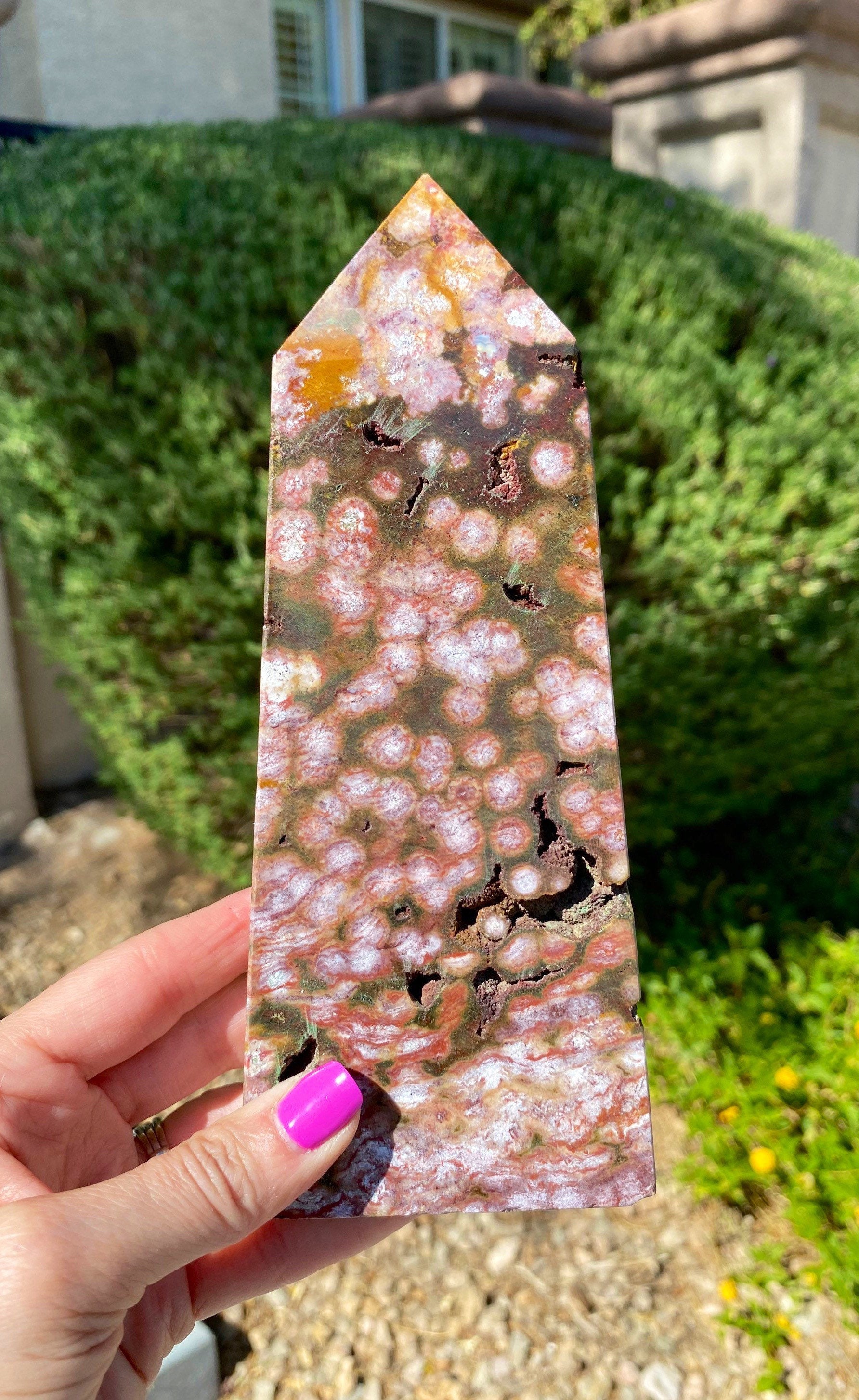 Rare 1.9lb Orbicular Ocean Jasper Tower, Sea Point, Rainbow Plus Free Pocket Stones