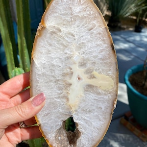 1.11lb Grey Agate Geode Slab w/ Stand