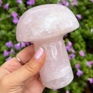 1.11lb Pink Rose Quartz Mushroom, Rose Quartz, Crystal Mushroom Carving, Rose Quartz Mushroom Figurine, Carved Rose Quartz Mushroom