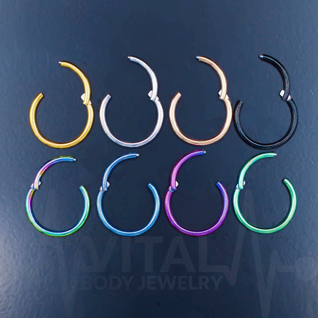 Titanium Hinged Nose Ring, 20G, Septum Ring, Earring, Seamless, Segment