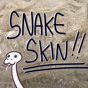 025 remise pour serpents en python-boule