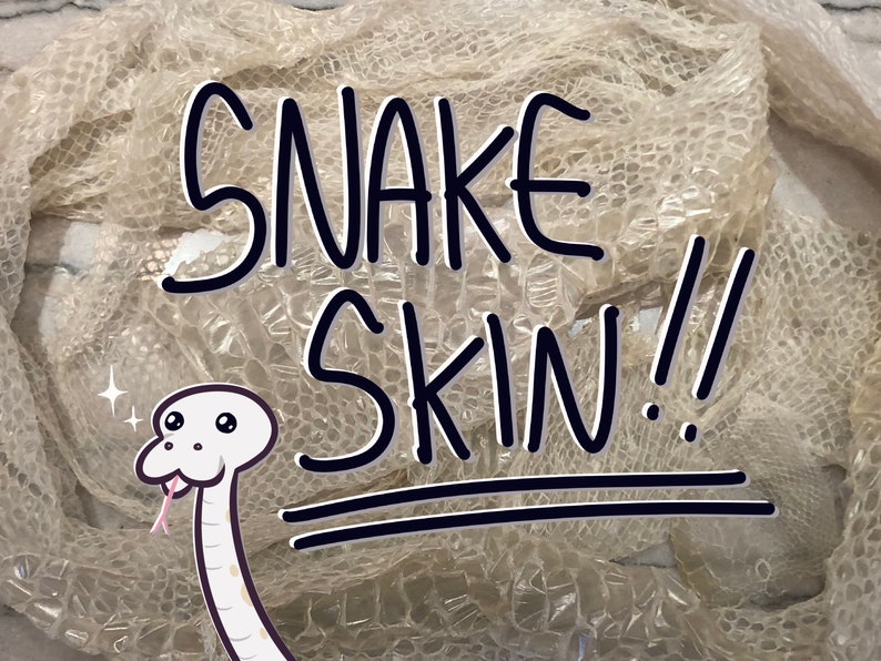 020 Ball Python Snake Shed - Etsy
