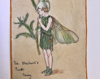 Flower Fairies Watercolour Vintage Painted Copies Of Cicely Mary Barker The Shepherds Purse Fairy