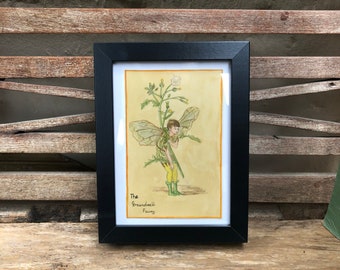 Flower Fairies Watercolour Vintage Painted Copies Of Cicely Mary Barker The Groundsell Fairy Framed