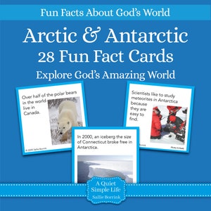 Carte con curiosità sull'Artico e l'Antartide – Attività stampabile