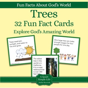 Puede incluir: Un conjunto de 32 tarjetas ilustradas coloridas con datos curiosos sobre los árboles. Las tarjetas tienen un borde verde y un fondo amarillo. El título de las tarjetas es "Trees 32 Fun Fact Cards Explore God's Amazing World".