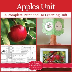Könnte beinhalten: Eine komplette, sofort einsatzbereite Lerneinheit mit dem Titel "Apples Unit" mit Bildern von Äpfeln, einem Papierbaum und Arbeitsblättern. Die Einheit enthält den Text "All About Apples" und "A Quiet Simple Life".