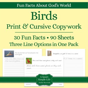 May include: A printable worksheet with cursive handwriting practice for children. The worksheet features a colourful illustration of a hummingbird and a woodpecker. The text on the worksheet reads "Fun Facts About God's World: Birds, Print & Cursive Copywork, 30 Fun Facts • 90 Sheets, Three Line Options in One Pack".