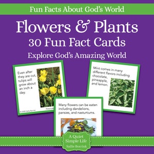 Cartes d'informations amusantes sur les fleurs et les plantes – activité à imprimer