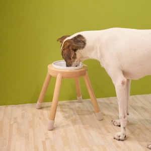 Raise dog bowl stand, HEIGHT/TILTED CUSTOMIZABLE, Minimalist design, The Big Bowl image 2