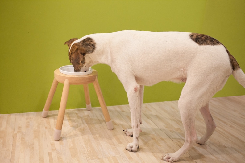 Raise dog bowl stand, HEIGHT/TILTED CUSTOMIZABLE, Minimalist design, The Big Bowl image 2