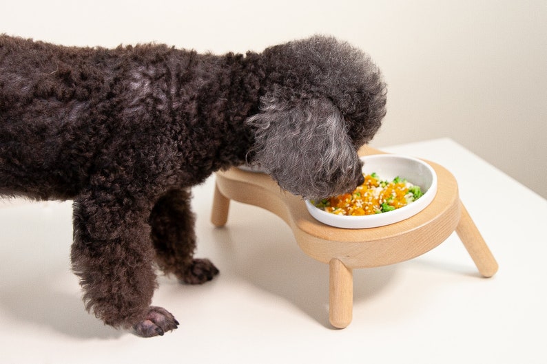 Elevated pet bowl, HEIGHT/TILTED CUSTOMIZABLE, 9oz2 , Minimalist design, the Peanut image 6