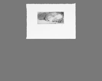 Rembrandt Etchings:  Sleeping puppy