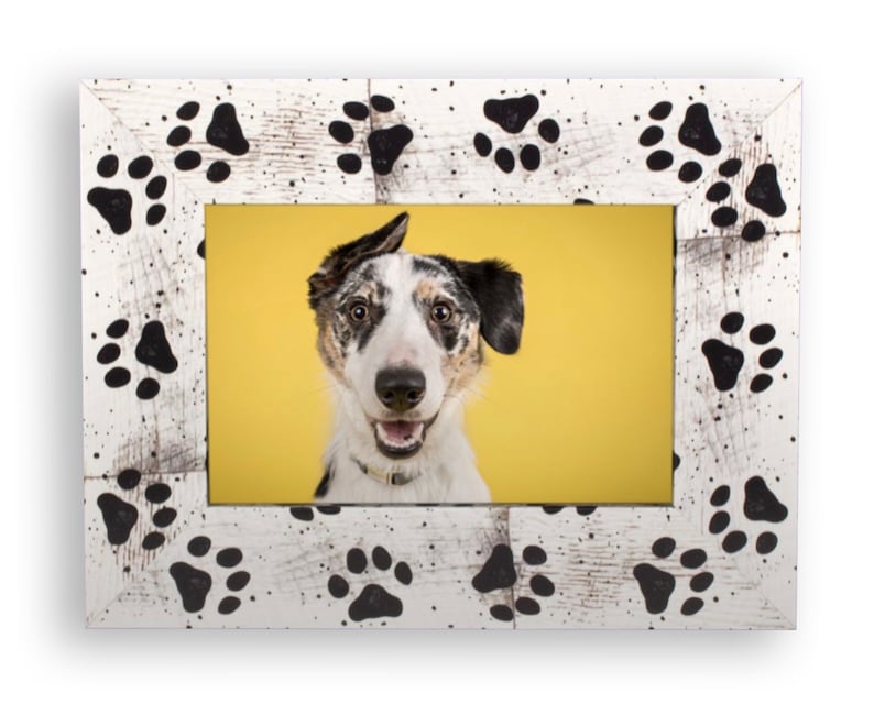 8x10 Dog Frame 5x7 Made with Recycled Plastic 4x6 Paws Picture Frame
